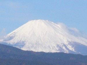 新春の富士山